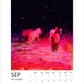 Magic Horses 2026 Calendar