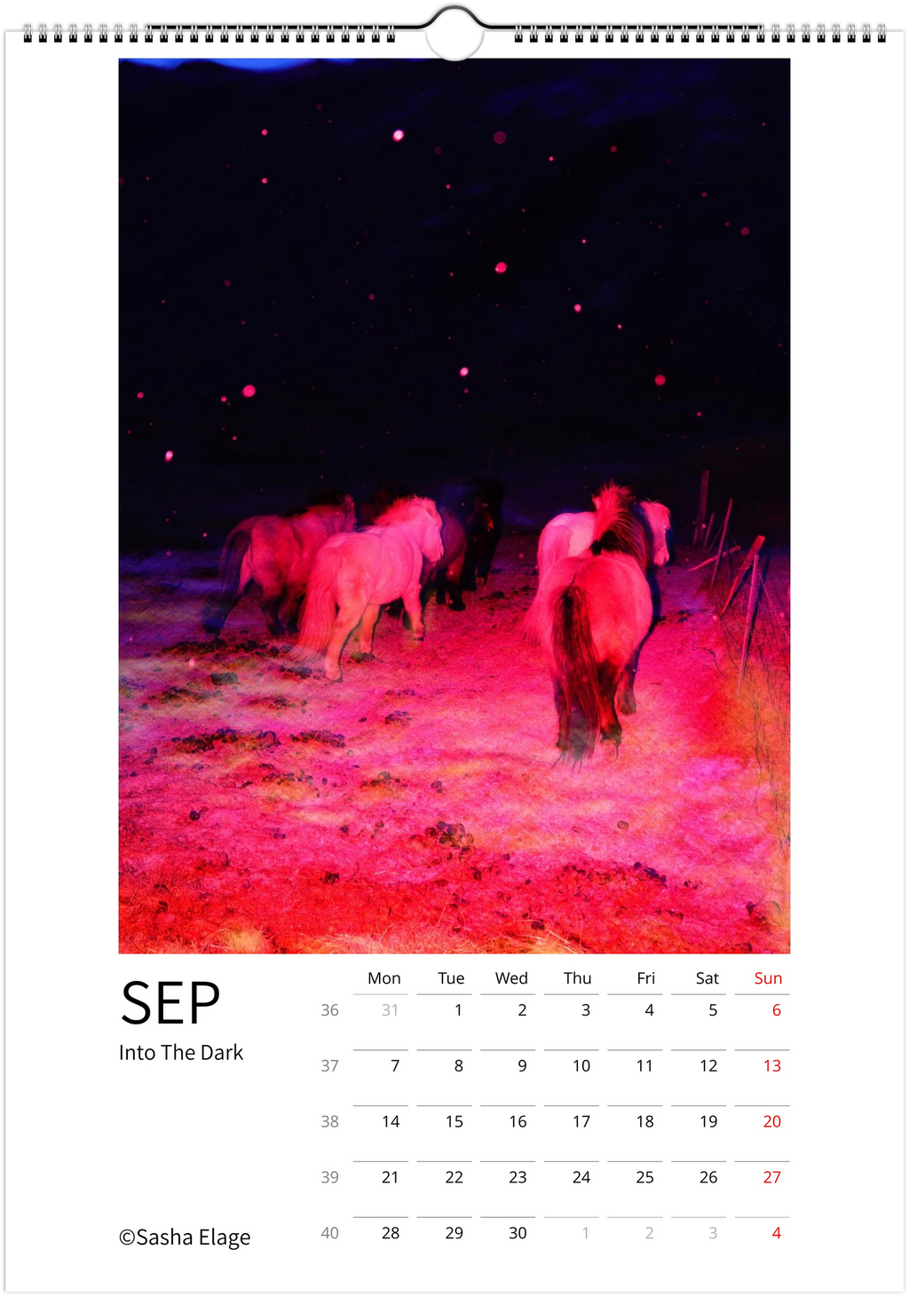 Icelandic Horses 2026 Calendar
