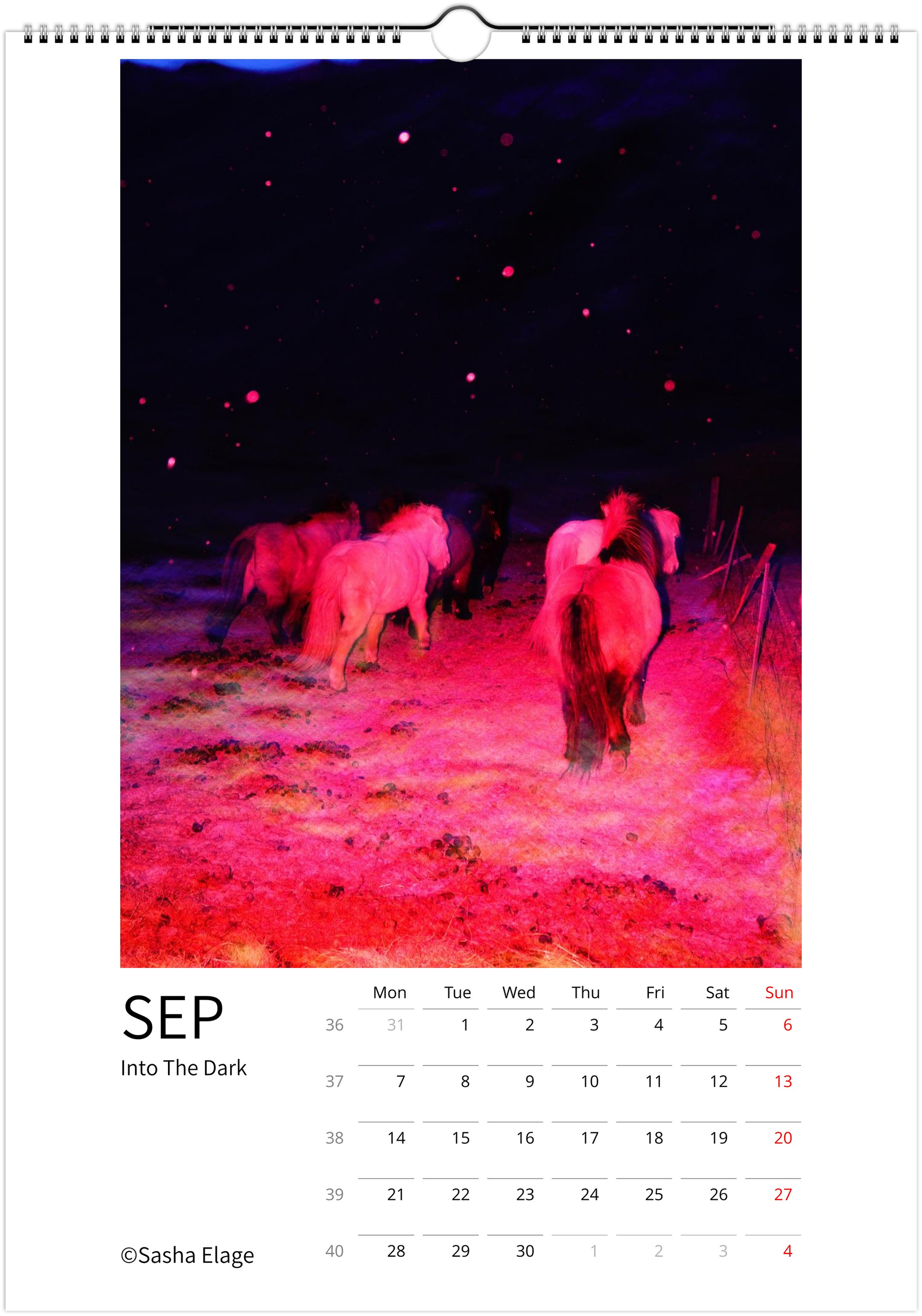 Icelandic Horses 2026 Calendar