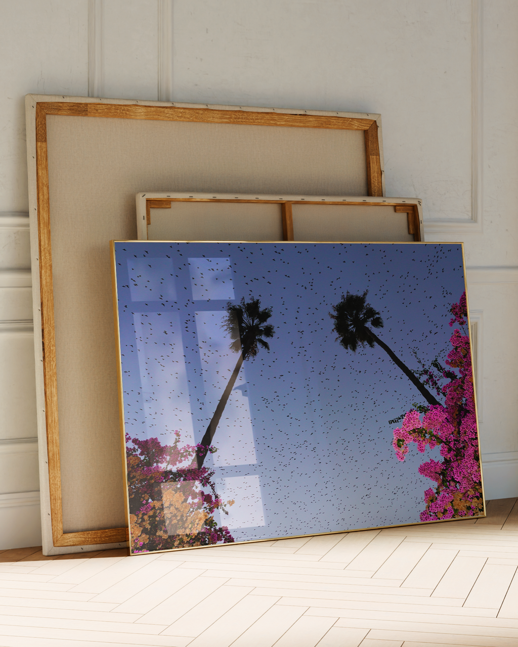 Murmurations 4 - Limited Edition