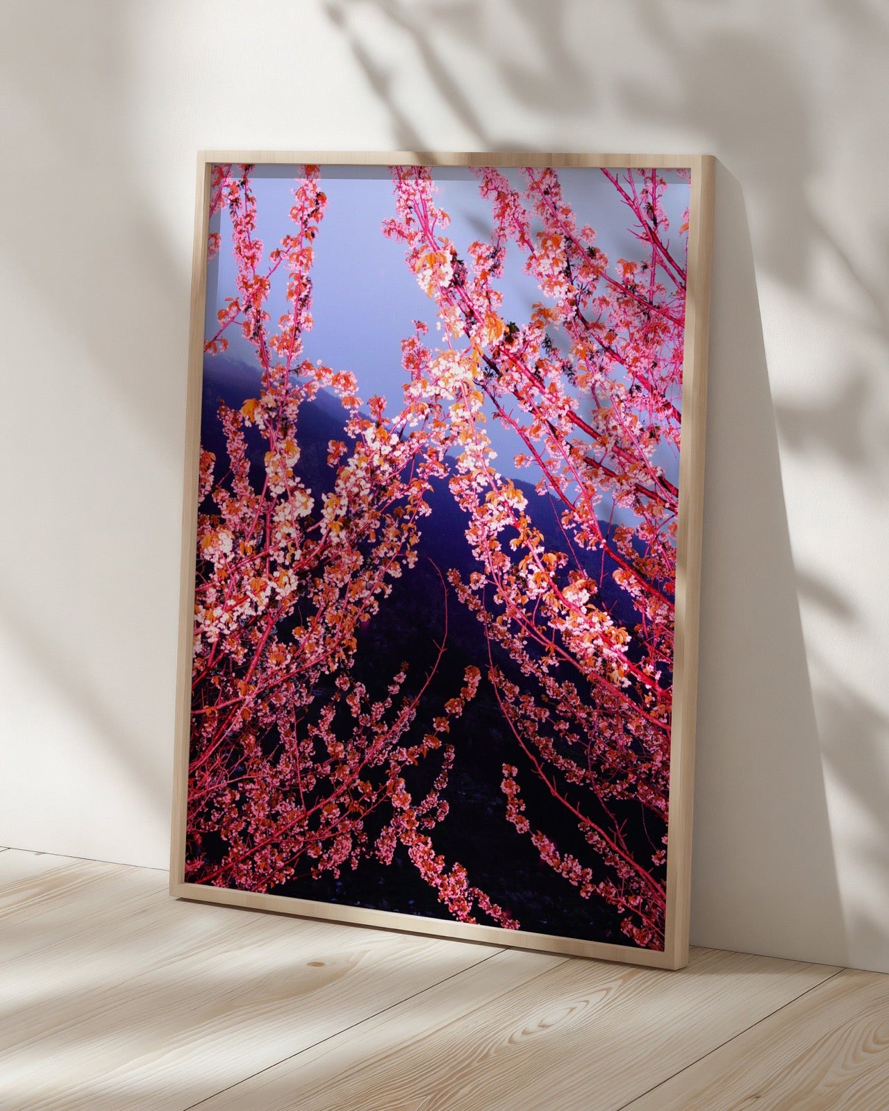 Pink Spring - Limited Edition