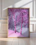 Pinkturesque - Limited Edition