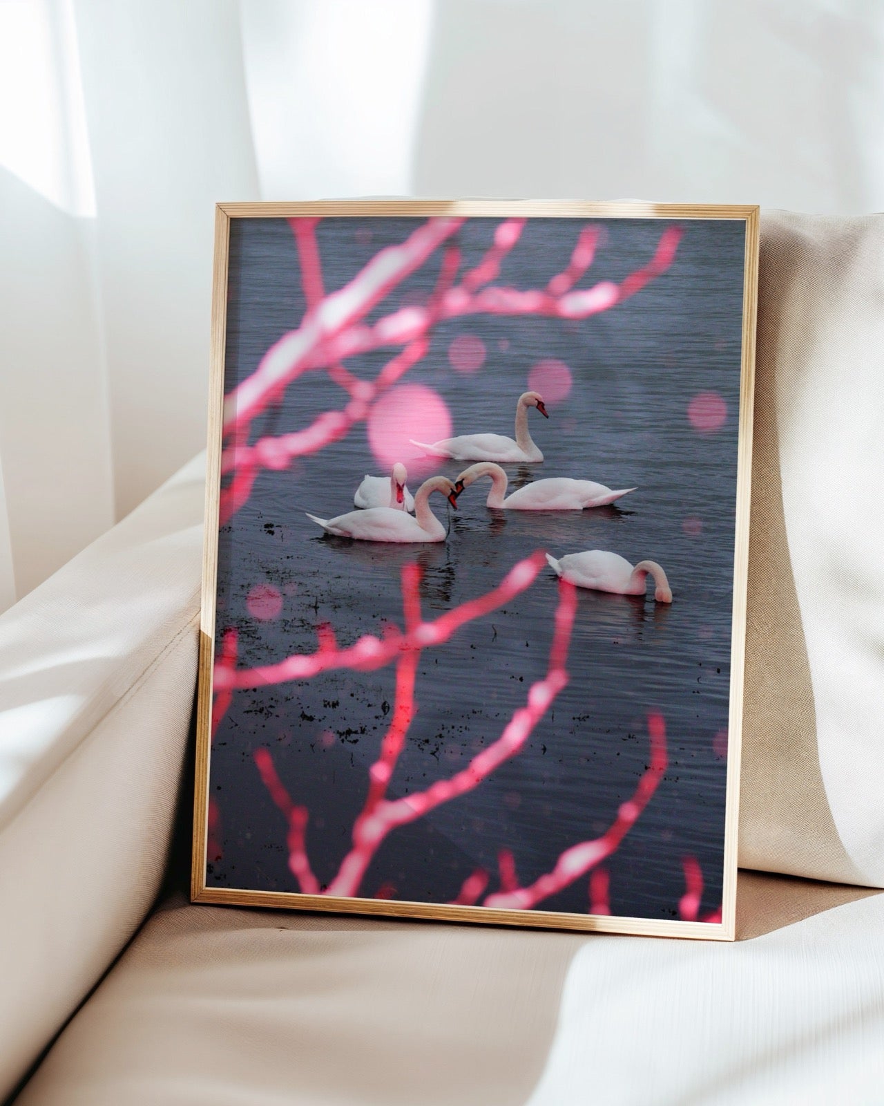Snow Ballet on Swan Lake - Limited Edition