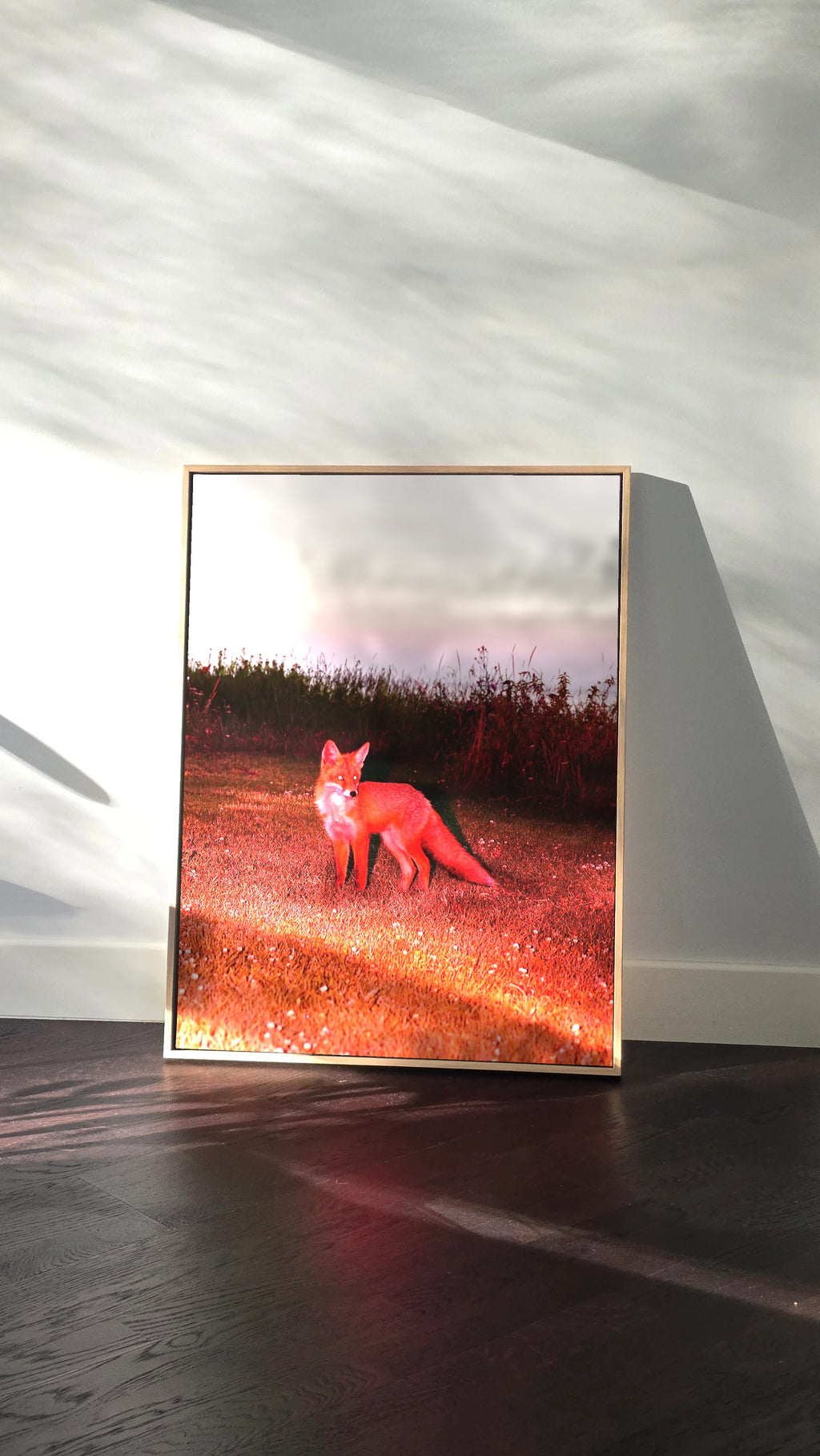 The Red Fox - Framed Canvas