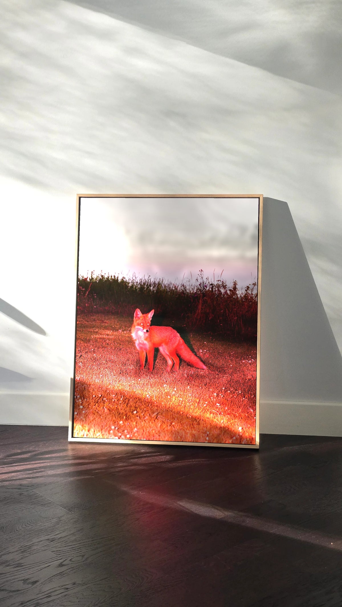 the-red-fox-framed-canvas