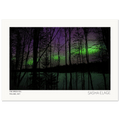 The Green Veil, fine art photograph by Sasha Elage, The Secret Place collection