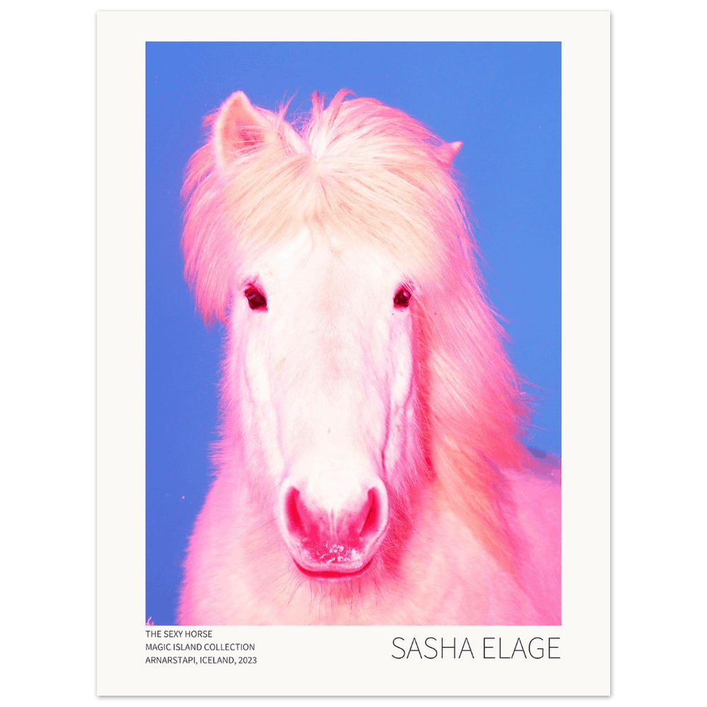 The Sexy Horse - Open Edition