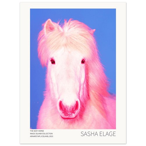 The Sexy Horse, fine art photograph by Sasha Elage, Magic Island collection